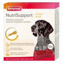 COMPRIMÉS (x12) ACTIF NUTRISUPPORT (COMPLÉMENT SANTÉ) - CHIEN BEAPHAR - Animalook Ile Réunion avec livraison 974