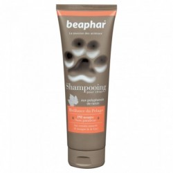 SHAMPOOING BRILLANCE 250ML EMPREINTE TUBE - CHIEN BEAPHAR - Animalook Ile Réunion avec livraison 974