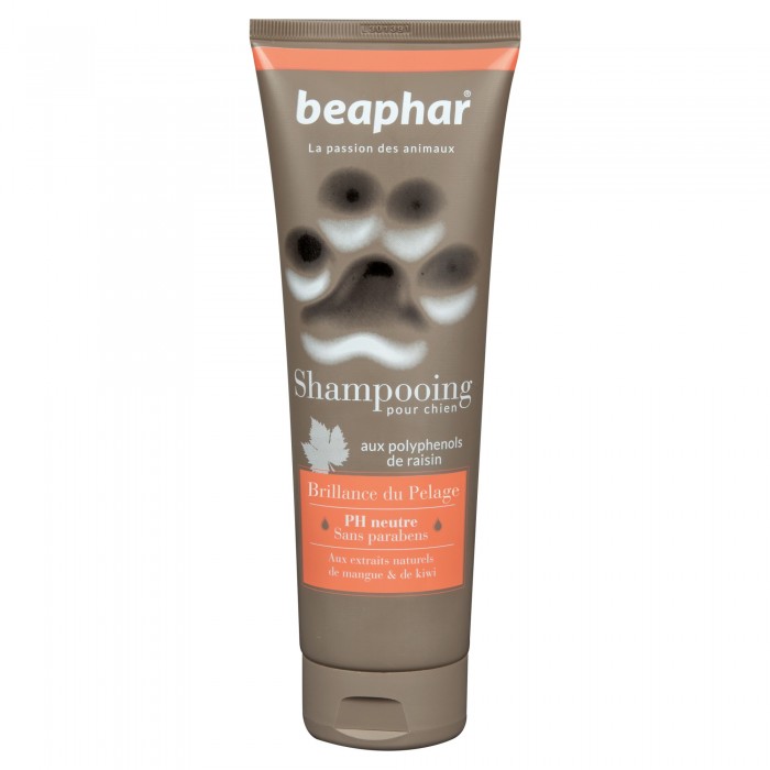 SHAMPOOING BRILLANCE 250ML EMPREINTE TUBE - CHIEN BEAPHAR - Animalook Ile Réunion avec livraison 974