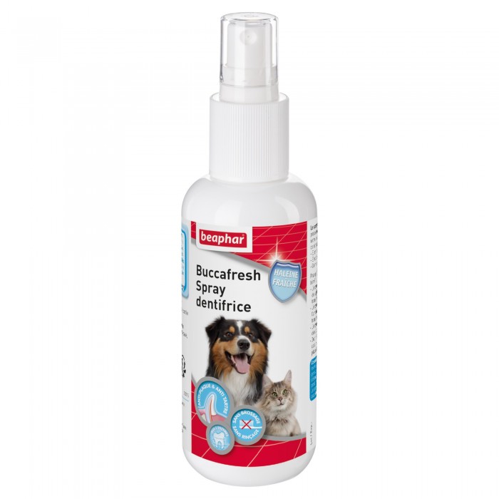 SOLUTION HALEINE FRAÎCHE 250ML BUCCAFRESH - CHIEN et CHAT BEAPHAR - Animalook Ile Réunion avec livraison 974