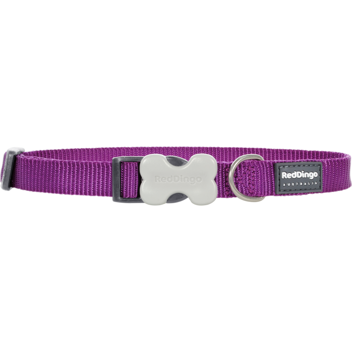 COLLIER LARGE UNI MAUVE T.L (25mm) - CHIEN RED DINGO - Animalook Ile Réunion avec livraison 974