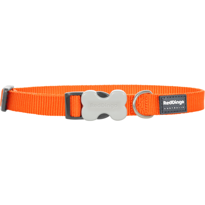 COLLIER LARGE UNI ORANGE T.L (25mm) - CHIEN RED DINGO - Animalook Ile Réunion avec livraison 974