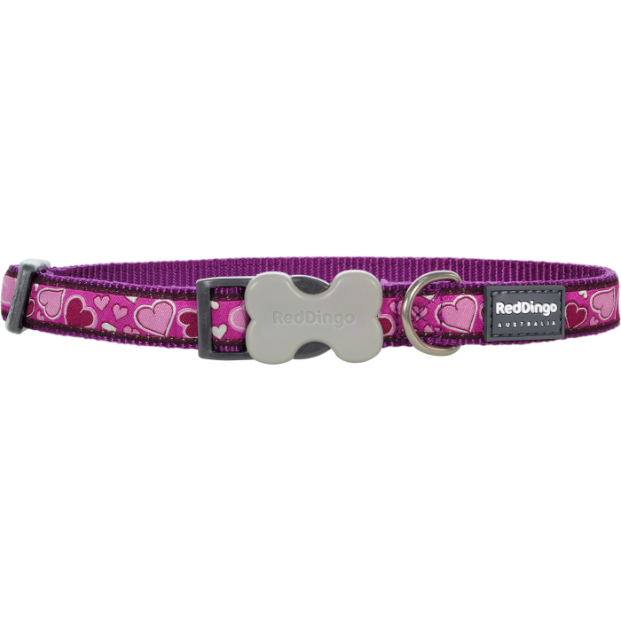 COLLIER MEDIUM BREEZY LOVE PURPLE T.M (20mm) - CHIEN RED DINGO - Animalook Ile Réunion avec livraison 974