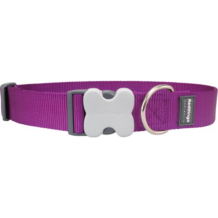 COLLIER XXL UNI MAUVE (LONG) T.XL (40mm) - CHIEN RED DINGO - Animalook Ile Réunion avec livraison 974