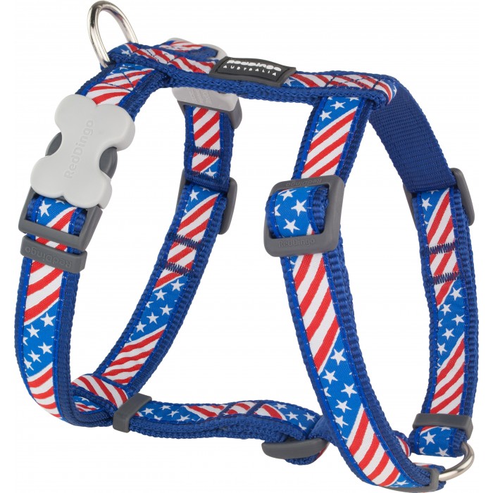 HARNAIS MEDIUM US FLAG BLEU T.M (20mm) - CHIEN RED DINGO - Animalook Ile Réunion avec livraison 974