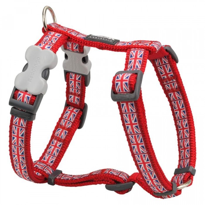 HARNAIS XL UNION JACK T.XL (40mm) - CHIEN RED DINGO - Animalook Ile Réunion avec livraison 974