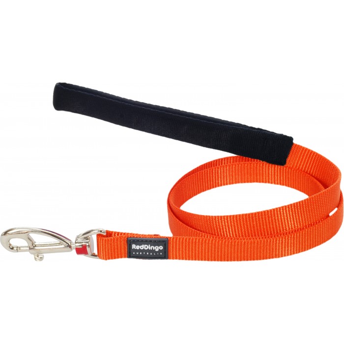 LAISSE LARGE UNI ORANGE T.L (25mm) - CHIEN RED DINGO - Animalook Ile Réunion avec livraison 974