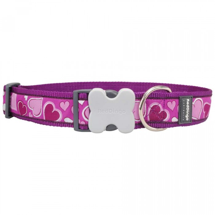 COLLIER SMALL BREEZY LOVE PURPLE T.S (12mm) - CHIEN RED DINGO - Animalook Ile Réunion avec livraison 974