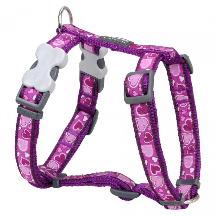 HARNAIS MEDIUM BREEZY LOVE PURPLE T.M (20mm) - CHIEN RED DINGO - Animalook Ile Réunion avec livraison 974