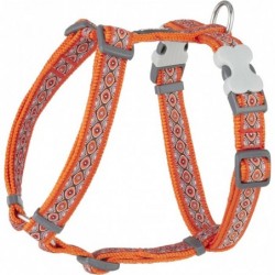 HARNAIS MEDIUM SNAKE EYES ORANGE T.M (20mm) - CHIEN RED DINGO - Animalook Ile Réunion avec livraison 974