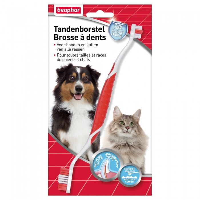 BROSSE À DENTS BUCCAFRESH - CHIEN et CHAT BEAPHAR - Animalook Ile Réunion avec livraison 974