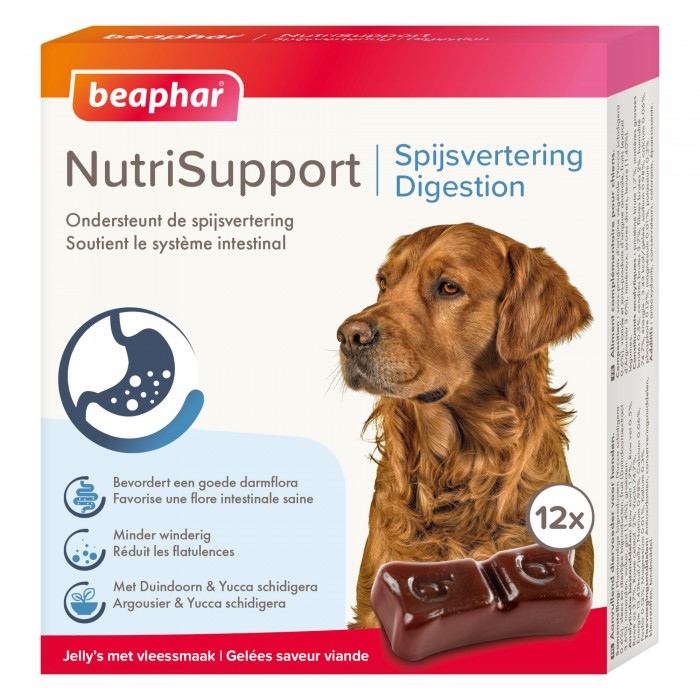 COMPRIMÉS (x12) DIGESTION (INTESTINAL) NUTRISUPPORT - CHIEN BEAPHAR - Animalook Ile Réunion avec livraison 974